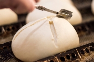 Dia do Panificador: do tradicional p�ozinho �s receitas mais elaboradas