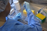 Laboratório Lacen recebe kits que equivalem a 25 mil testes de coronavírus