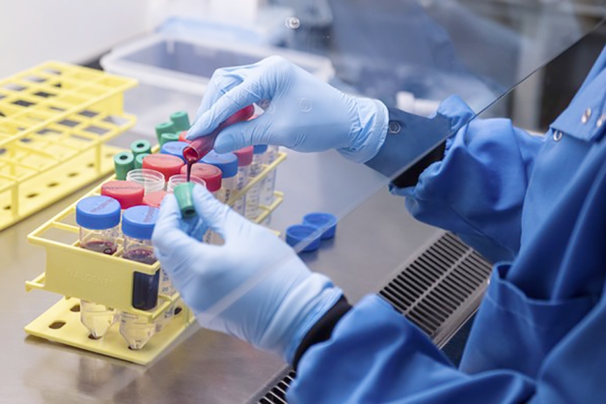 Covid-19: Anvisa aprova segunda dose da vacina de Oxford em volunt�rios