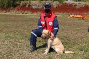 Novo cão labrador chega para compor equipe dos bombeiros de SC