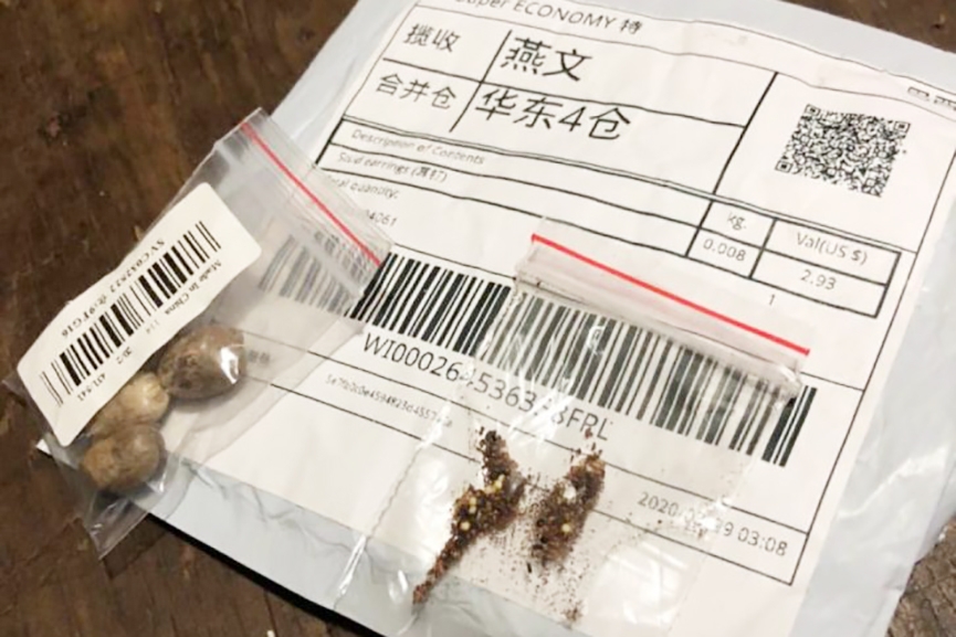 Moradores de SC recebem pacotes misteriosos com sementes vindas da China