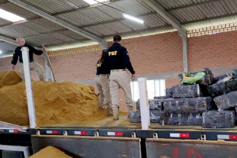 Mais de tr�s toneladas de maconha s�o encontradas em carga de farelo de milho em SC