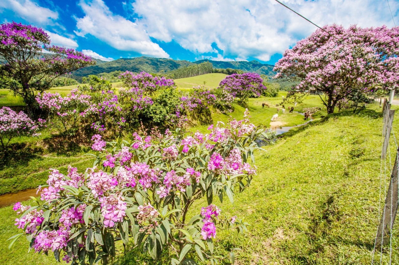 Gaspar no Top 100 dos principais destinos tur�sticos sustent�veis 2020 