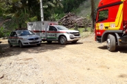 Homem morre enquanto cortava árvore no bairro Arraial D'Ouro, em Gaspar