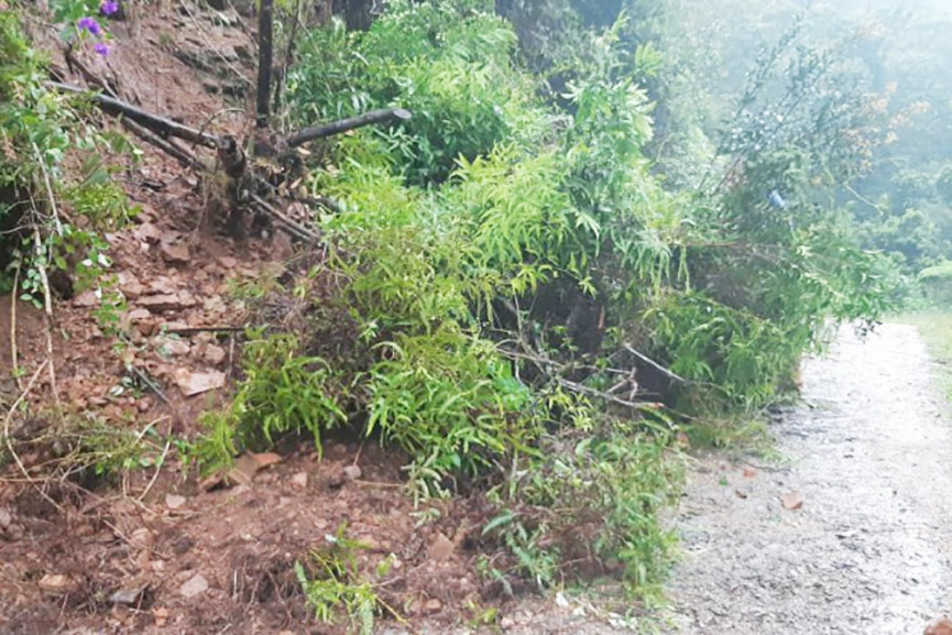 Blumenau registra mais de 50 ocorrências causadas pelas chuvas