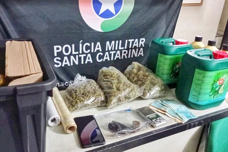PM de Blumenau prende homem que cultivava maconha em casa