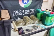 PM de Blumenau prende homem que cultivava maconha em casa