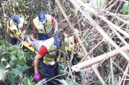 Jovem desaparecida em Blumenau � encontrada na mata em Gaspar