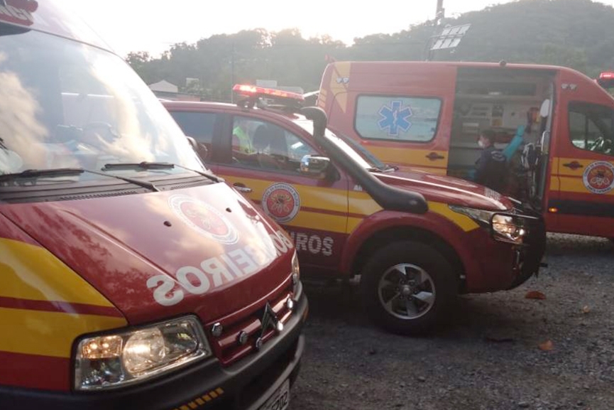 Grupo � atacado por abelhas durante trilha no Belchior Alto, em Gaspar