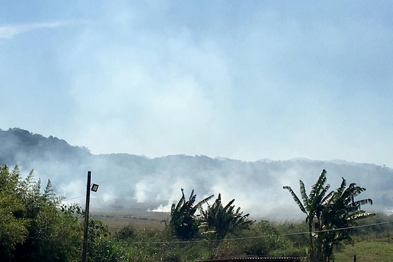 Fuma�a gerada por queima de arrozeiras incomoda moradores e empres�rios em Gaspar