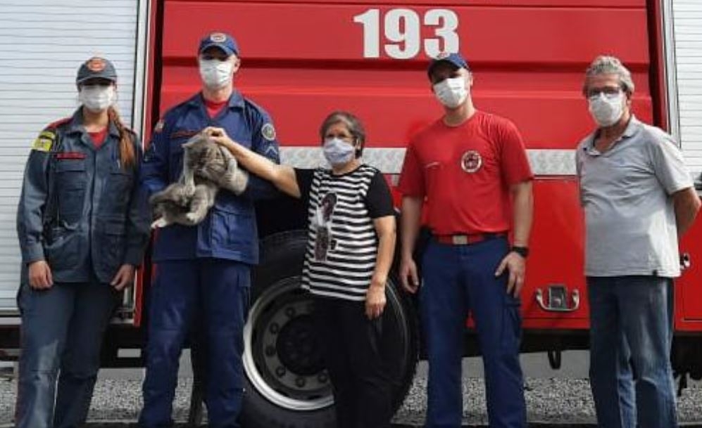Bombeiros resgatam gato preso em telhado de resid�ncia na Margem Esquerda