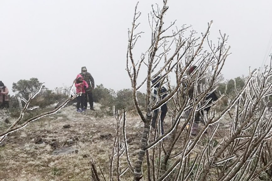 Mais de 20 cidades de SC podem registrar neve nesta ter�a-feira