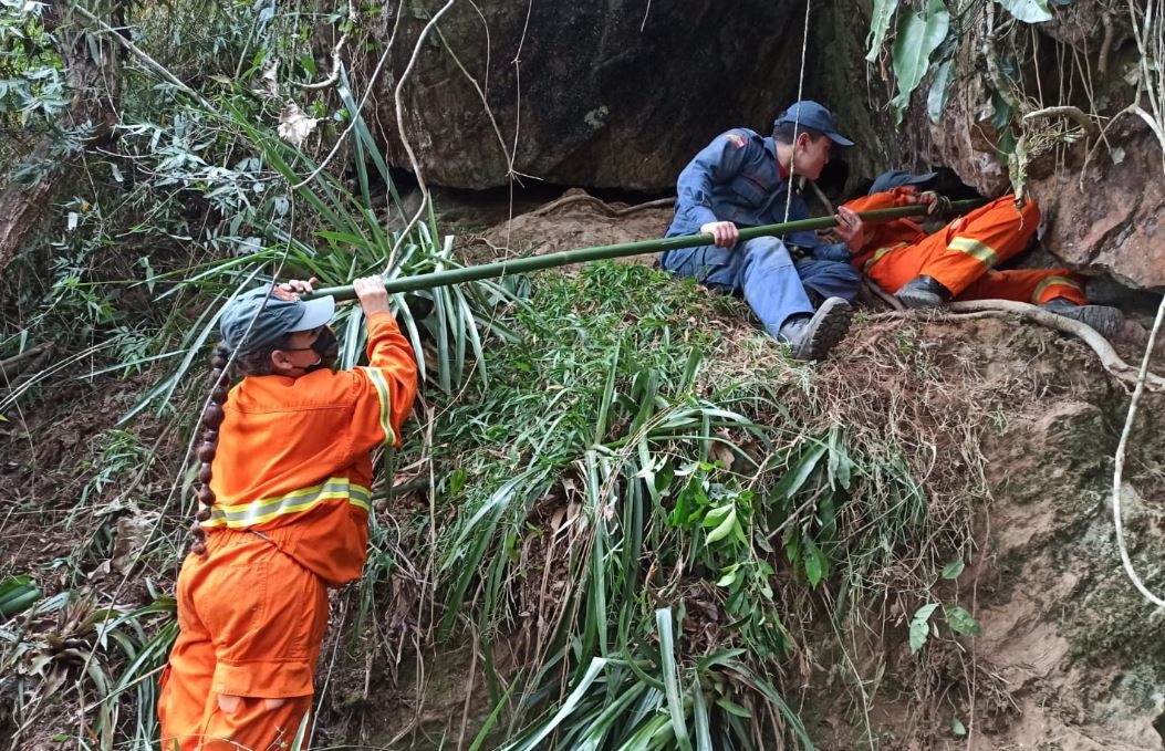C�o � resgatado ap�s passar nove dias preso em rocha em Gaspar