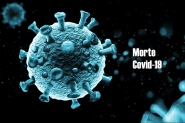 Gaspar registra nova morte e mais 79 casos ativos de coronav�rus