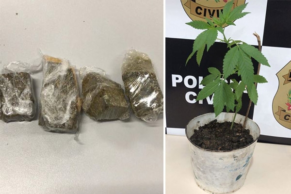 Pol�cia Civil prende traficante de drogas no Bela Vista, em Gaspar