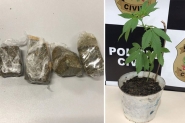Pol�cia Civil prende traficante de drogas no Bela Vista, em Gaspar