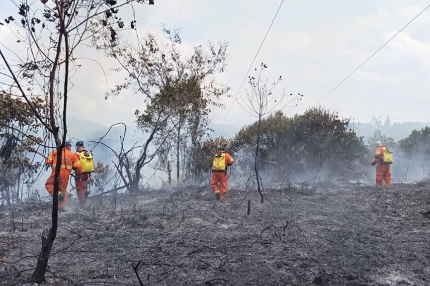 Bombeiros de Gaspar levam mais de quatro horas para apagar fogo em mata