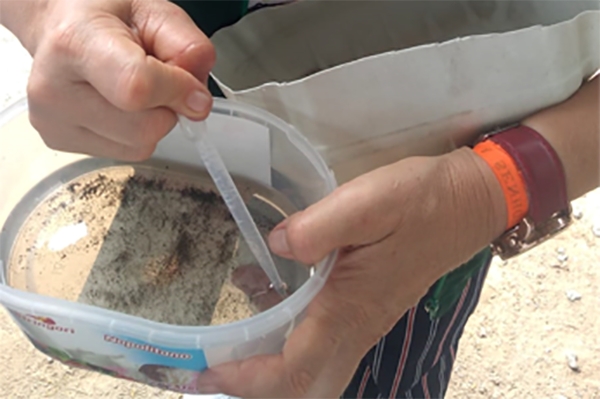 Gaspar confirma primeiro caso de dengue no ano