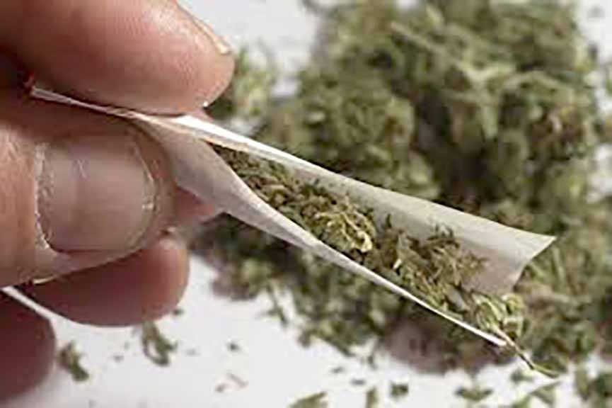 Dois menores s�o pegos com maconha em ponto de �nibus em Ilhota