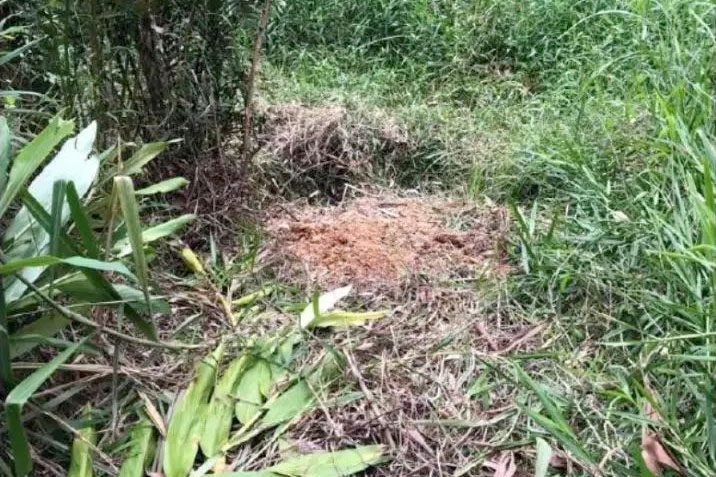 Corpo de homem � encontrado ao lado de pedra com sangue em mata de Blumenau