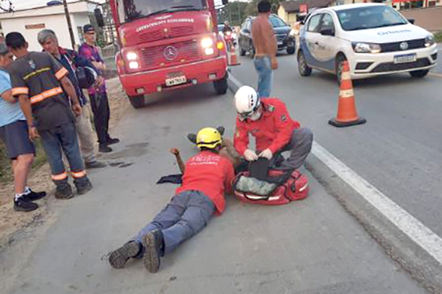 V�deo mostra momento em que c�o cruza a rodovia e causa acidente em Ilhota