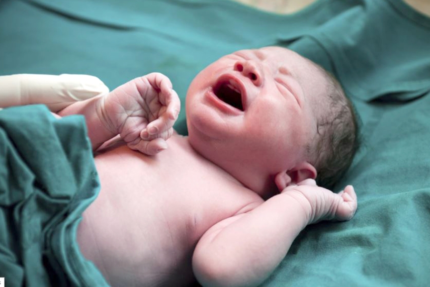 Hospital de Gaspar registra m�dia de 60 nascimentos por m�s