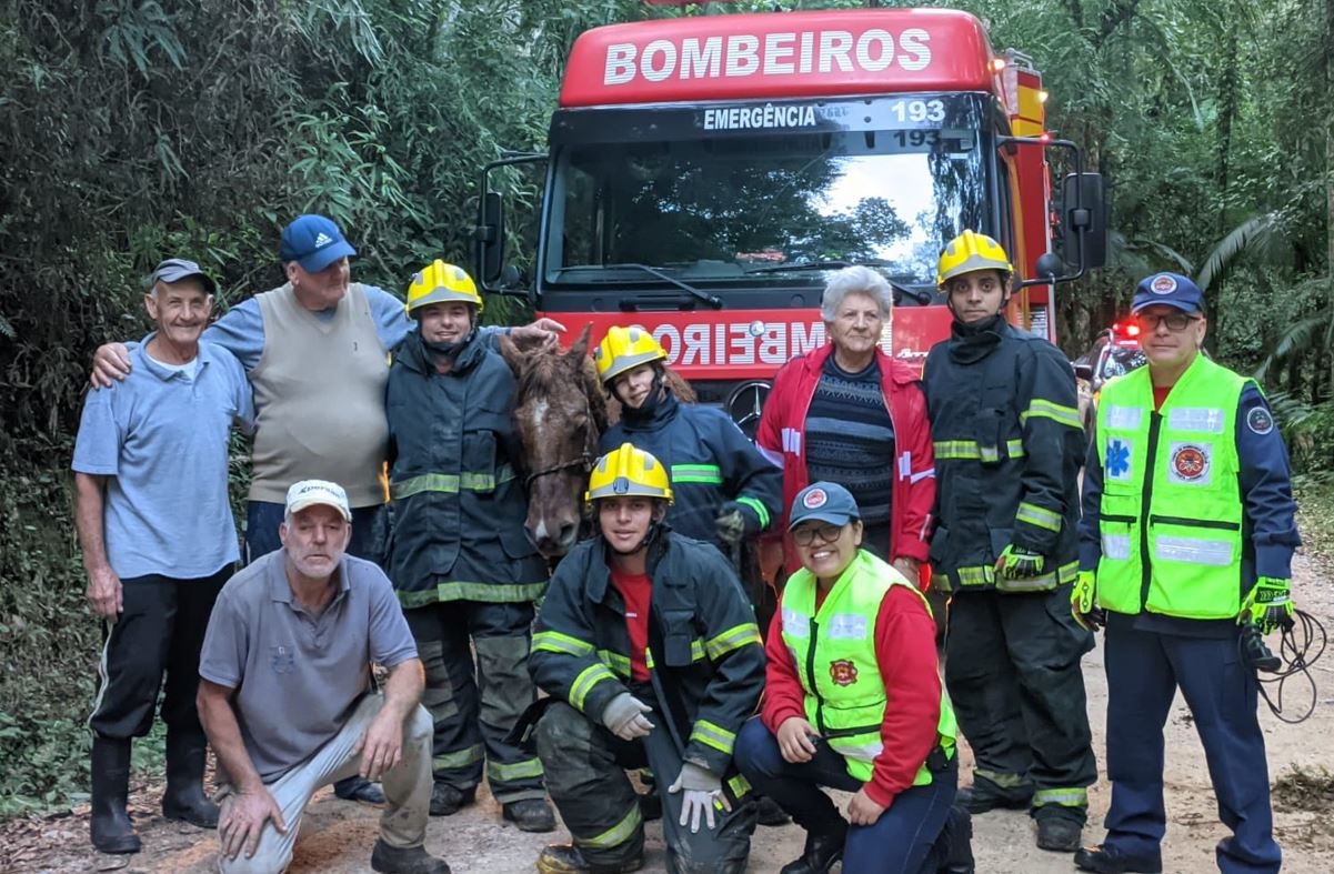 Bombeiros de Gaspar resgatam cavalo ap�s charrete cair em ribanceira no Gasparinho