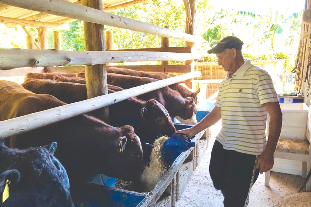 A paixão de Nelson Nicoletti pelo trabalho rural no Alto Gasparinho