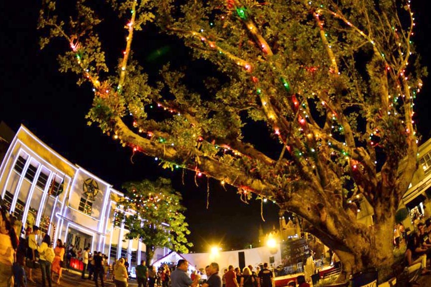 Prefeitura de Gaspar vai premiar casa e comércio mais bem decorados para o Natal