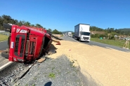 Carreta carregada de casquinha de soja tomba e motorista fica ferido em Ilhota