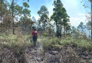 Bombeiros Voluntários combatem incêndio em vegetação em Ilhota