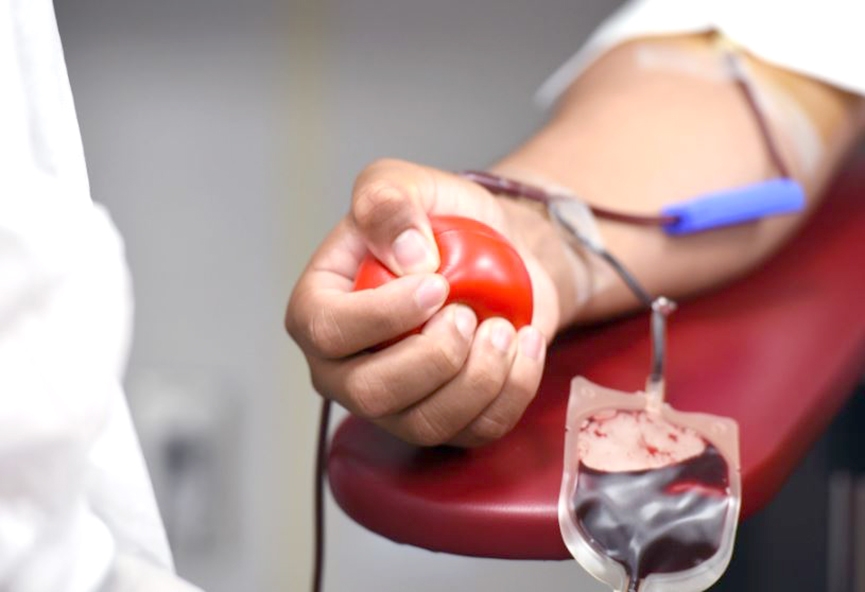 Hemosc fecha 2022 com aumento no n�mero de doa��es de sangue