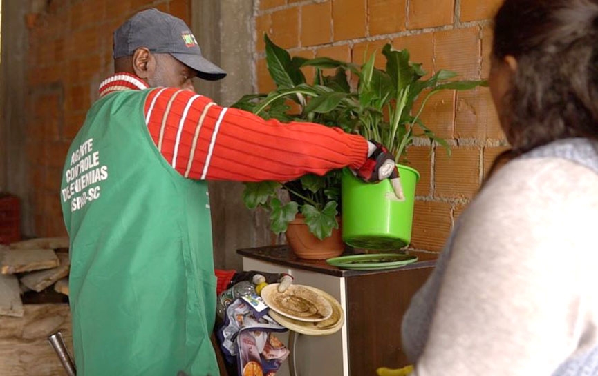 Focos do mosquito da dengue crescem quase 300% em 2022 em Gaspar