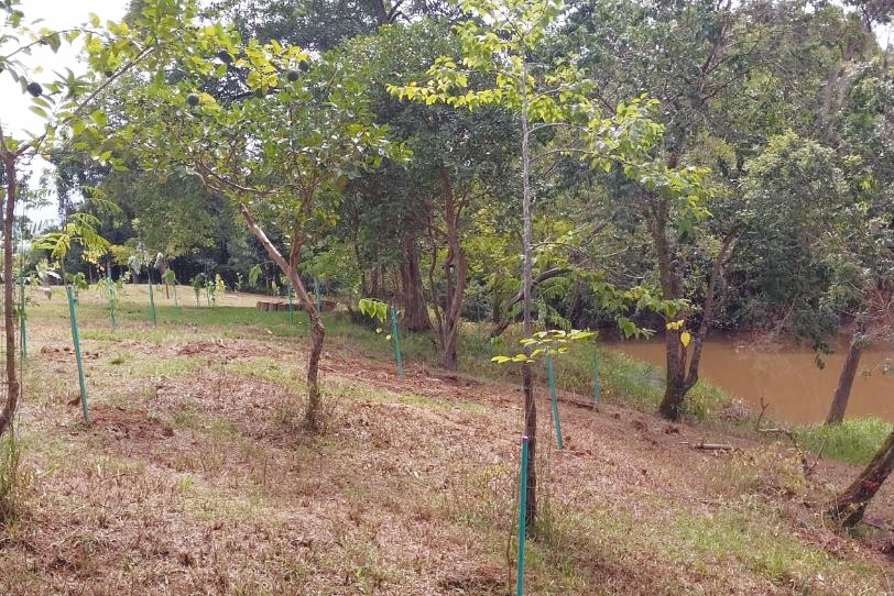 Prefeitura de Gaspar registra 18 Projetos de Recuperação de Áreas Degradadas