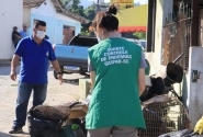 Gaspar tem 40 casos positivos de dengue e investiga outros 118