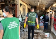 Gaspar tem mais de 600 focos do mosquito da Dengue e 62 pessoas infectadas