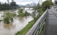 Rio deve atingir 12 metros em Blumenau no fim de semana