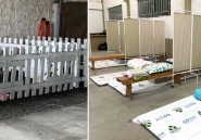 Prefeitura ativa mais um abrigo em Gaspar; ambos tm espao para pets