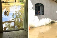gua fica na soleira da porta e quase invade casa na divisa de Ilhota e Itaja