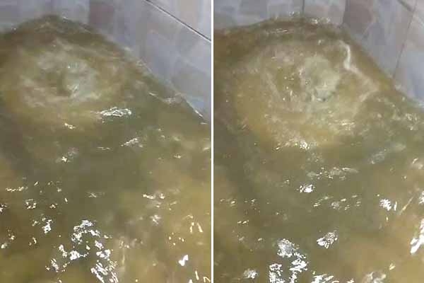 Problema em tubulao faz gua jorrar pelo ralo em casas de Ilhota
