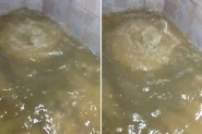 Problema em tubulao faz gua jorrar pelo ralo em casas de Ilhota