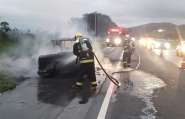 Carro pega fogo e fica completamente destruído às margens da BR-470, em Ilhota