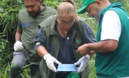 Gaspar tem 41 confirmaes de dengue, 250 casos em investigao e 265 focos do mosquito