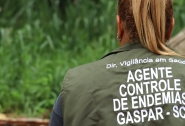Hospital de Gaspar tem quatro pessoas internadas com dengue; cidade tem 182 casos desde janeiro