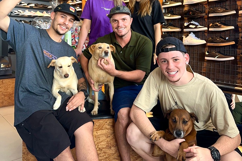 Loja de Gaspar realiza campanha para ajudar abrigo Anjos de Quatro Patas