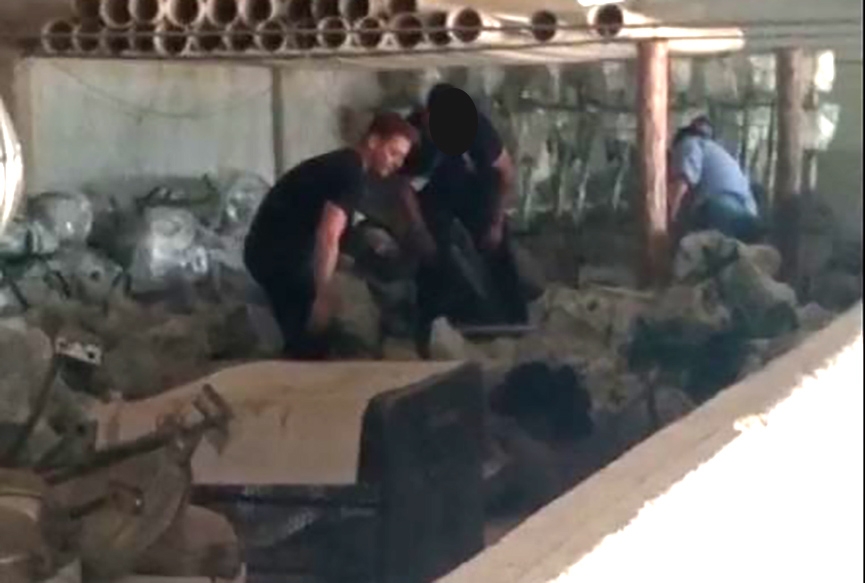 Vdeo: secretrio diz que imagens mostram vereador depredando bens pblicos em Gaspar