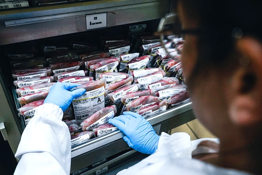 Hemosc celebra 37 anos com mais de 2 milhes de bolsas de sangue coletadas e transfundidas