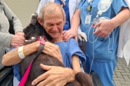 Paciente internado na UTI do Hospital de Gaspar recebe visita de cadela e encontro emociona