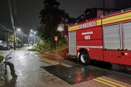 Bombeiros so acionados para corte de rvore no Santa Terezinha na madrugada desta sexta