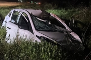 gua prenha morre atropelada na BR-470, em Ilhota